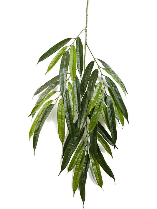 Ficus Longifolia Artificial Plant Premium Faux 68cm Height Artificial Plants
