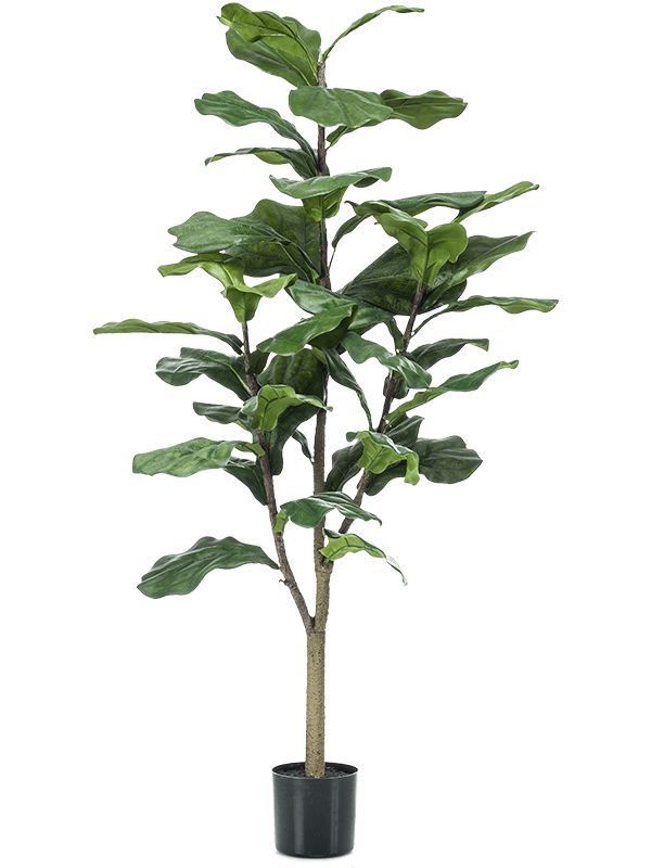 Ficus Lyrata Artificial Plant Premium Faux 120cm Height Artificial Plants