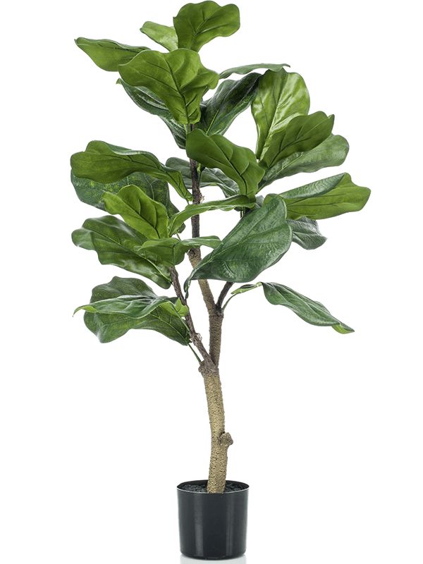 Ficus Lyrata Artificial Plant Premium Faux 90cm Height Artificial Plants