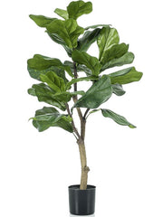 Ficus Lyrata Artificial Plant Premium Faux 90cm Height Artificial Plants