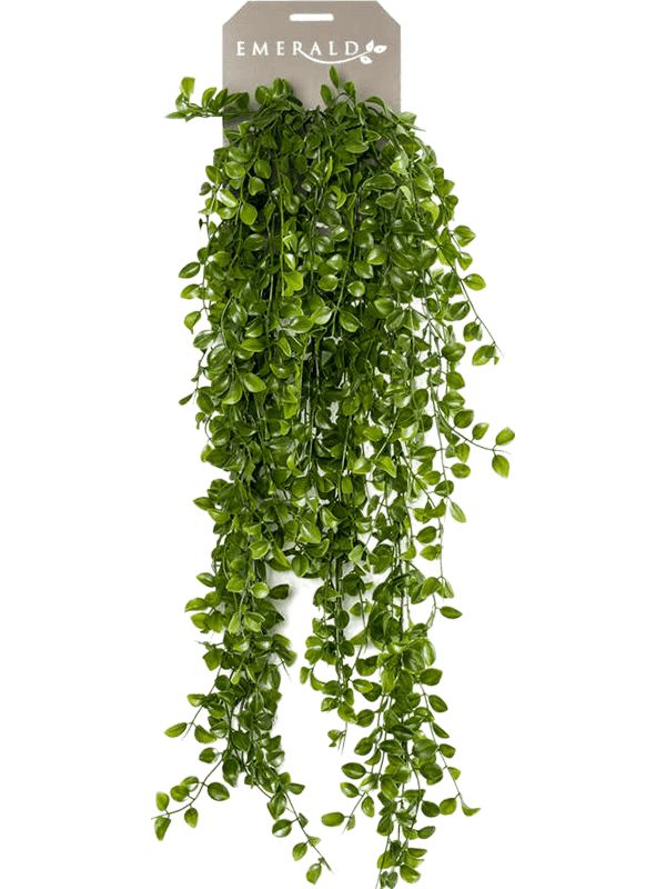 Ficus Pumila Artificial Plant Premium Faux 80cm Height Artificial Plants