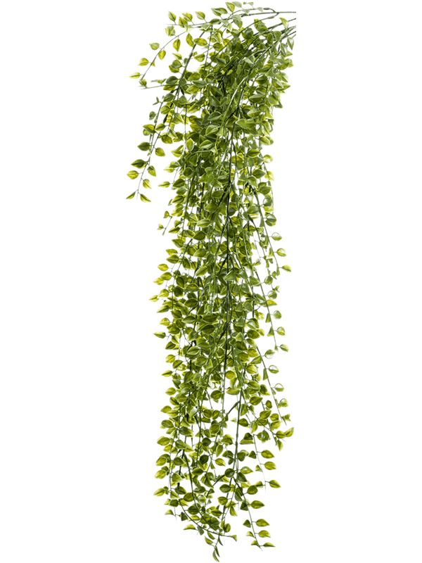 Ficus Pumila Artificial Plant Premium Faux 80cm Height Artificial Plants