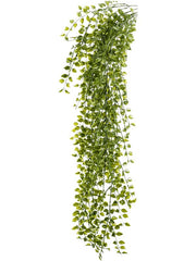 Ficus Pumila Artificial Plant Premium Faux 80cm Height Artificial Plants
