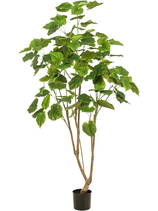 Ficus Umbellata Artificial Plant Premium Faux 180cm Height Artificial Plants