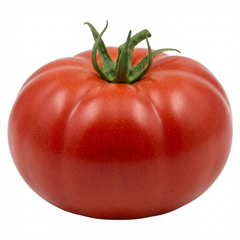 Set of 3 or 6 Large Plants - Tomato Bush Steak (Megabyte), Ready to Plant in Your Garden