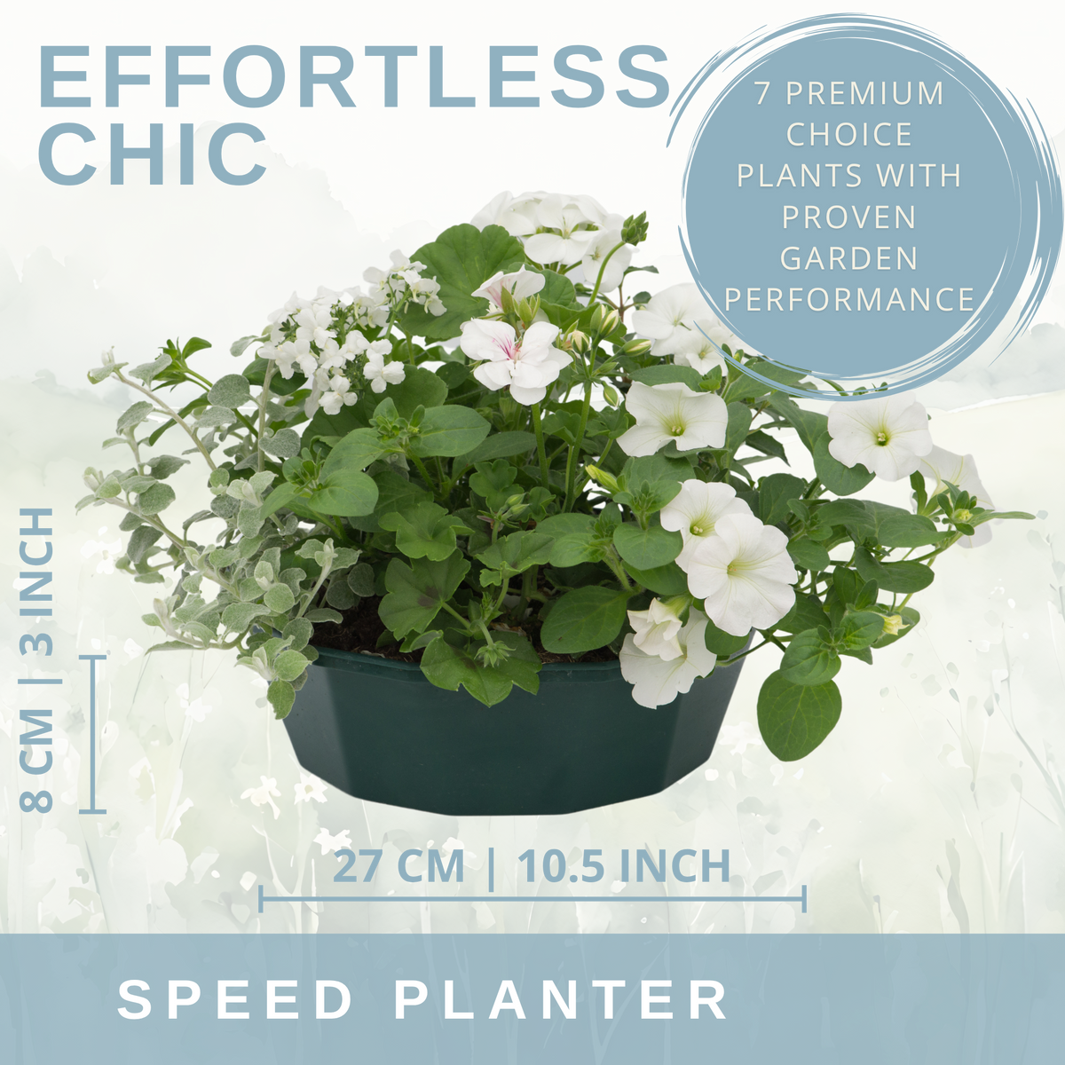7 Colour Coordinated Plants - Effortless Chic Theme Speedplanter, Garden Ready