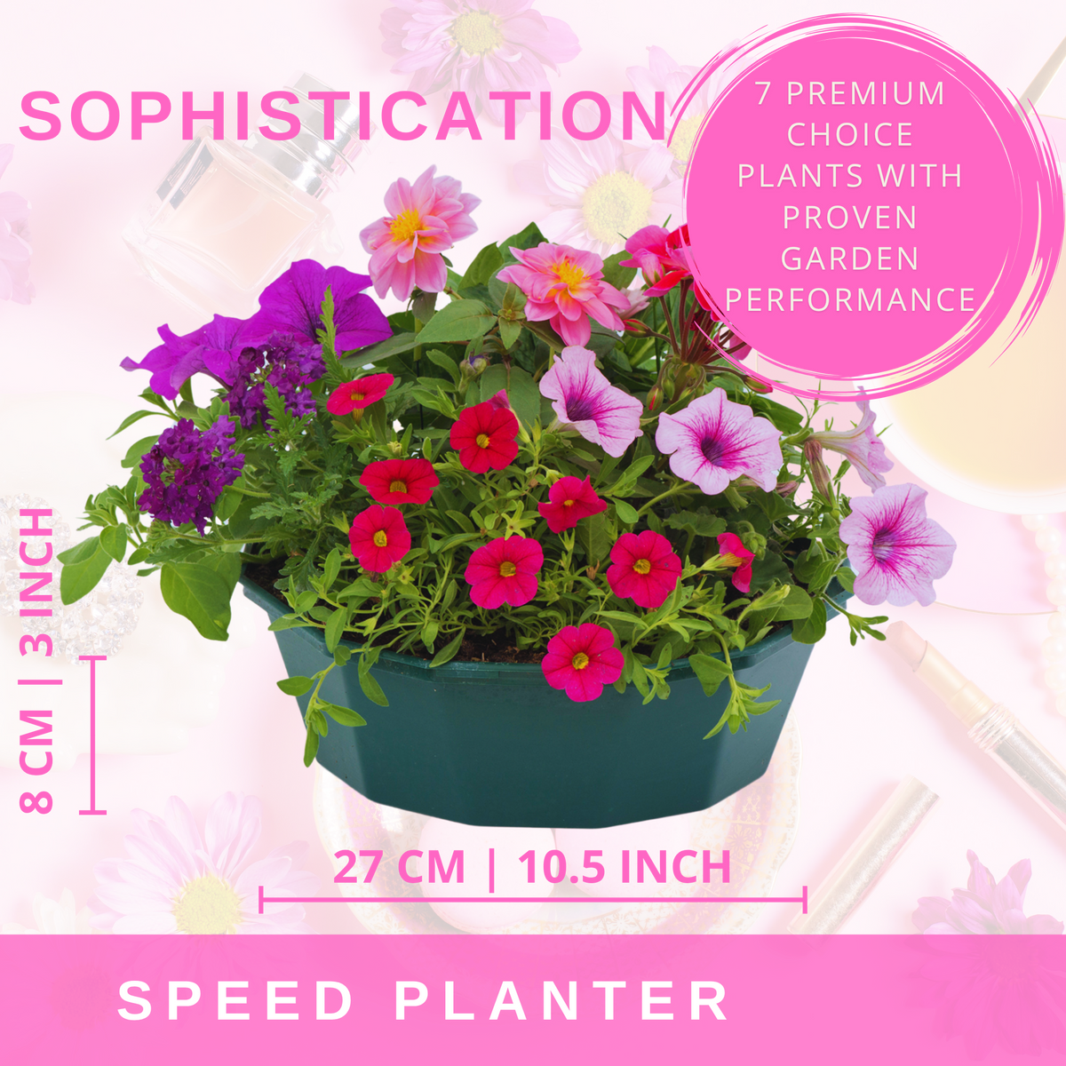 7 Colour Coordinated Plants - Sophistication Theme Speedplanter, Garden Ready