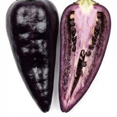 Set of 3 or 6 Large Chilli Pepper Plants - Zimbabwe Black, Ready to Plant in Your Garden