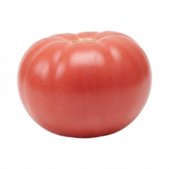 Set of 3 or 6 Large Plants - Tomato Brandy Boy Variety, Ready to Plant in Your Garden