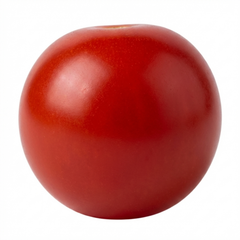 Set of 3 or 6 Large Plants - Tomato Losetto Variety, Ready to Plant in Your Garden, 10.5 cm