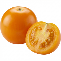 Set of 3 or 6 Premium Grafted Stargold Cherry Tomato Plants, Sweet Golden Fruit, Outdoor Garden Ready, 1L Root Ball