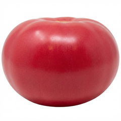 Set of 3 or 6 Large Plants - Tomato Rose Crush Variety, Ready to Plant in Your Garden