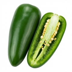 Chilli Pepper Plants - Jalapeno Variety, Ready to Plant in Your Garden
