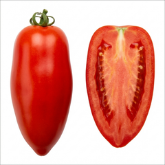 Grafted Cornabel Tomato Plants, Premium Live Plants, Outdoor & Greenhouse Ready, 1L Root Ball