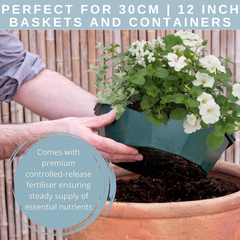 7 Colour Coordinated Plants - Effortless Chic Theme Speedplanter, Garden Ready
