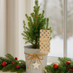 Christmas tree in white pot with star