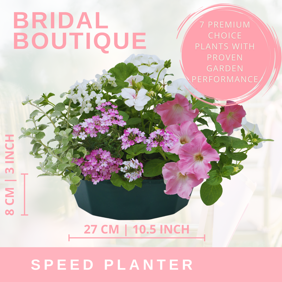 7 Colour Coordinated Plants - Bridal Bouquet Theme Speedplanter, Garden Ready