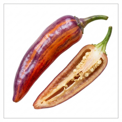 Set of 3 or 6 Large Plants - Grow Your Own Chilli Pepper Atomic, Garden Ready