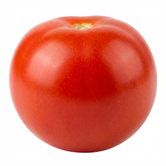 Set of 3 or 6 Large Plants - Tomato Cocktail Crush Variety, Ready to Plant in Your Garden