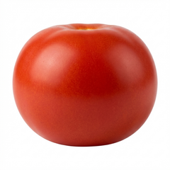 Set of 3 or 6 Large Plants - Tomato Totem Variety, Ready to Plant in Your Garden