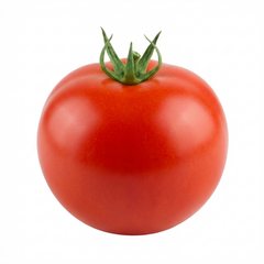 Set of 3 or 6 Large Plants - Tomato Premio Variety, Ready to Plant in Your Garden