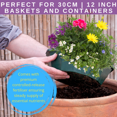 7 Colour Coordinated Plants - Berry Swirl Theme Speedplanter, Garden Ready