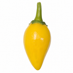 Chilli Pepper 25cm Hanging Basket, Peppers from Heaven, Pots