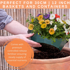 7 Colour Coordinated Plants - Tangerine Twist Theme Speedplanter, Garden Ready