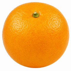 Calamondin Orange Tree 5Ltr, Indoor Citrus Tree, Pots