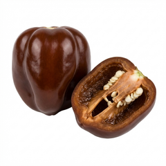 Chilli Pepper Plants - Habanero Chocolate, Ready to Plant in Your Garden