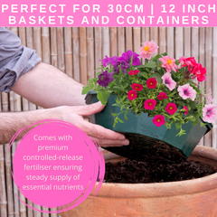7 Colour Coordinated Plants - Sophistication Theme Speedplanter, Garden Ready