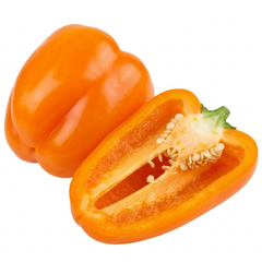 1 Large Plant - Grow Your Own Sweet Pepper Snack Orange, Outdoor Garden Ready