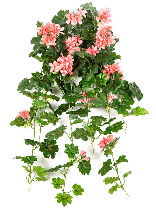 Geranium Artificial Plant Premium Faux 72cm Height Artificial Plants