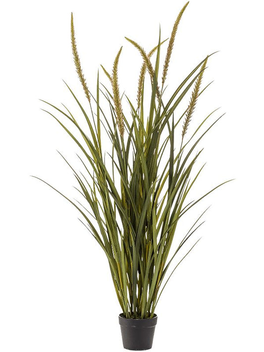 Grass Foxtail Artificial Plant Premium Faux 130cm Height Artificial Plants
