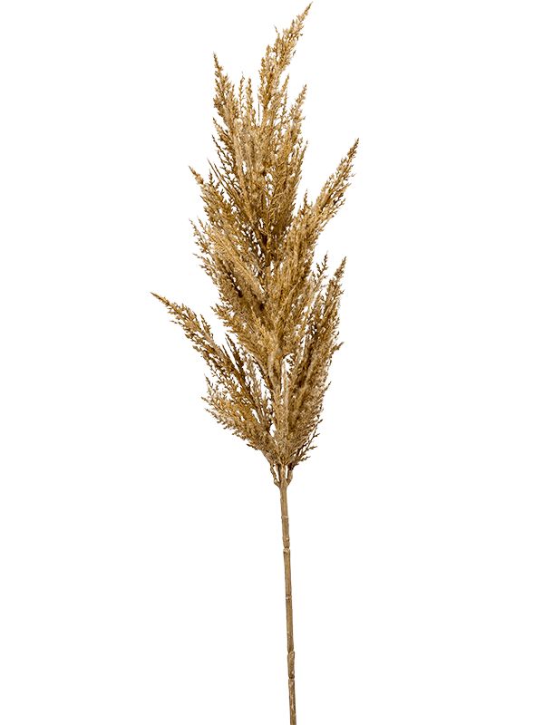 Grass Pampas Artificial Plant Premium Faux 92cm Height Artificial Plants