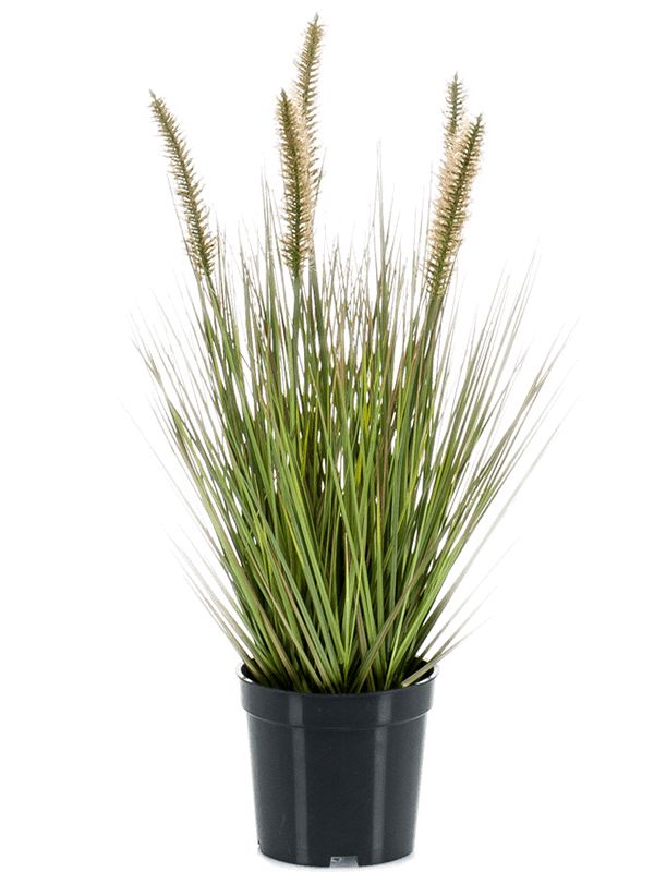 Grass Pennisetum Artificial Plant Premium Faux 45cm Height Artificial Plants