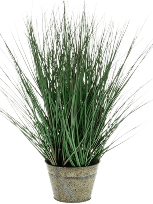 Grass Wild Artificial Plant Premium Faux 50cm Height Artificial Plants