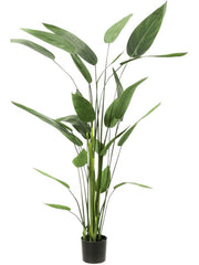 Heliconia Artificial Plant Premium Faux 175cm Height Artificial Plants