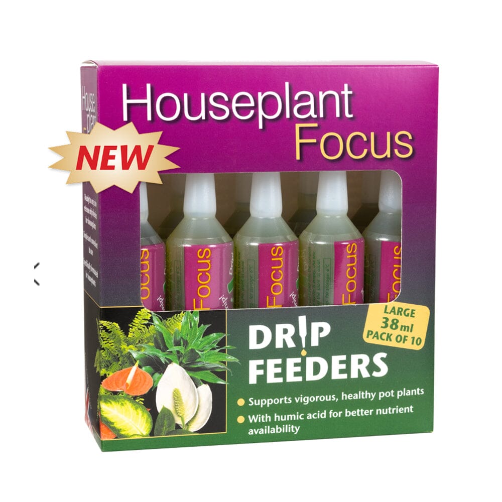 Houseplant Drip Feeders 38ml (10 Pack) Houseplant Care