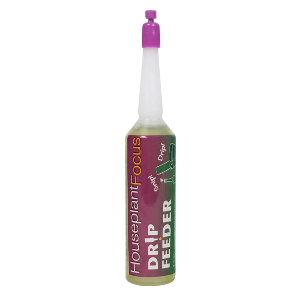 Houseplant Drip Feeders 38ml (10 Pack) Houseplant Care