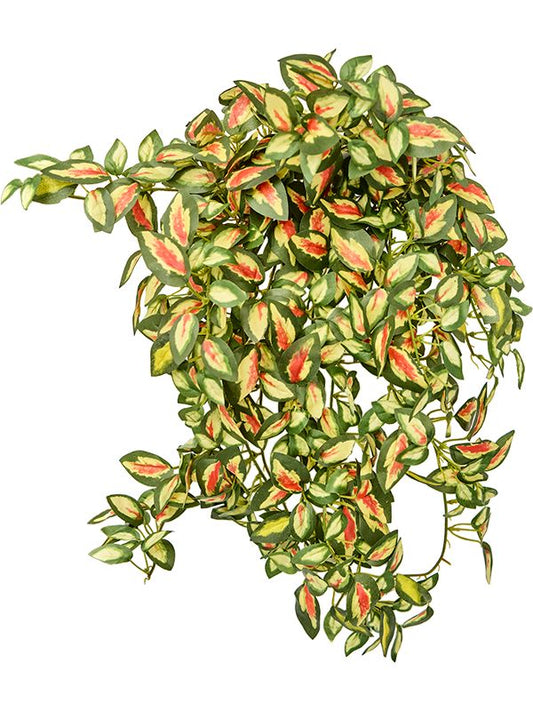 Hoya Artificial Plant Premium Faux 50cm Height Artificial Plants