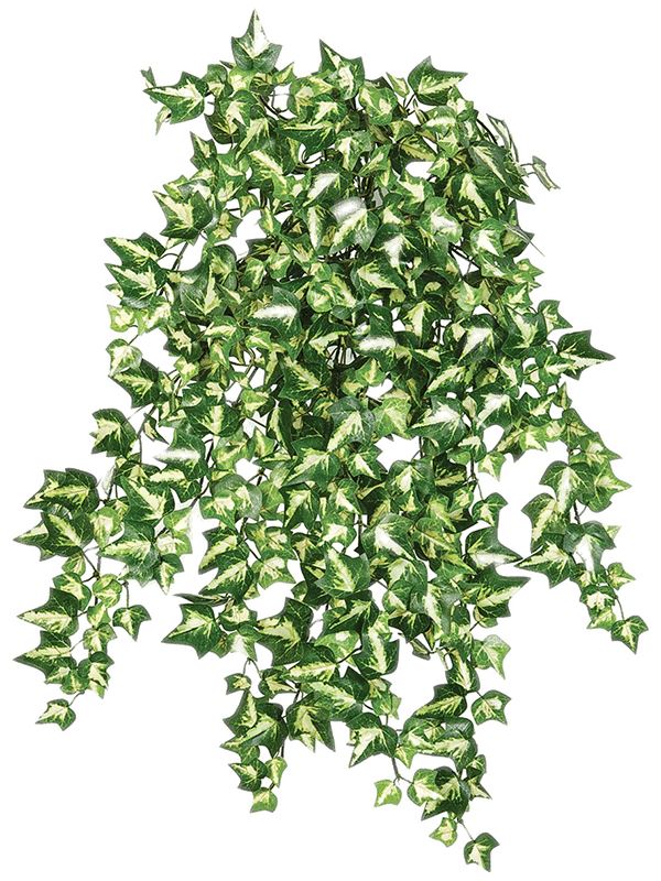 ivy Artificial Plant Premium Faux 50cm Height Artificial Plants