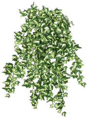 ivy Artificial Plant Premium Faux 50cm Height Artificial Plants