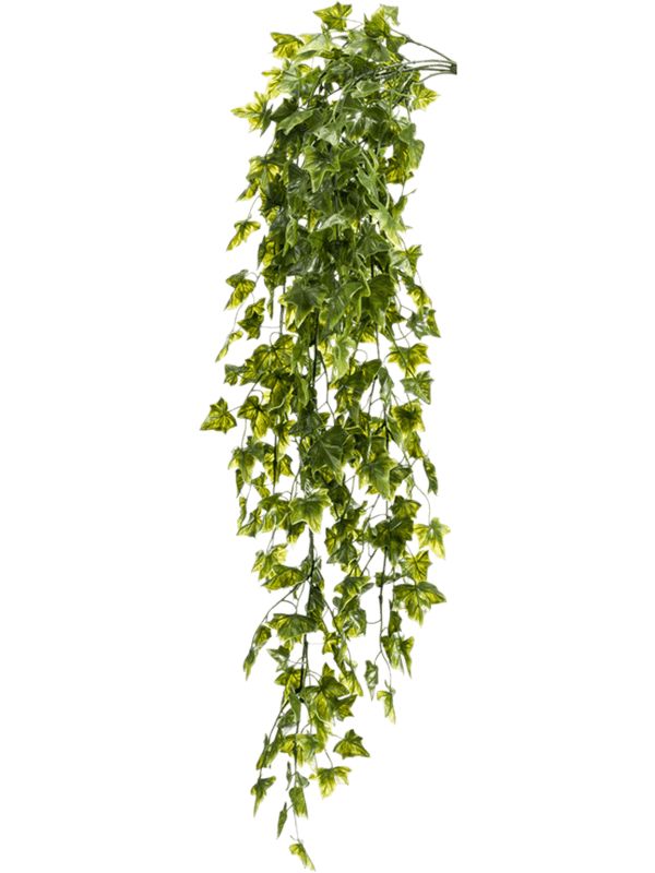Ivy Artificial Plant Premium Faux 75cm Height Artificial Plants