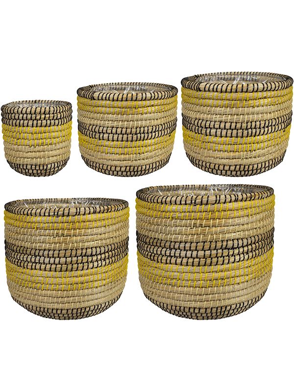 Jane Plant Pot 31cm Height cm Dia Pot Savana (set of 5)