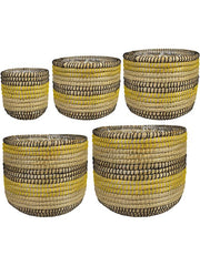 Jane Plant Pot 31cm Height cm Dia Pot Savana (set of 5)