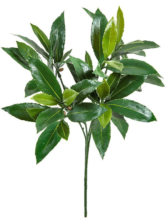 Laurel Artificial Plant Premium Faux 51cm Height Artificial Plants