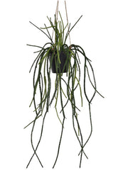 Lycopodiaceae Hanging Artificial Plant Premium Faux 85cm Height Artificial Plants