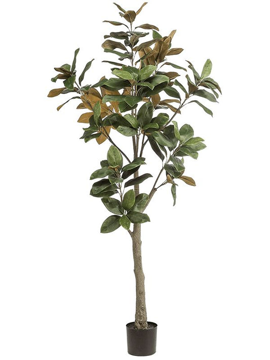 Magnolia Denudata Artificial Plant Premium Faux 180cm Height Artificial Plants