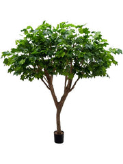 Maple Deluxe Artificial Plant Premium Faux 240cm Height Artificial Plants